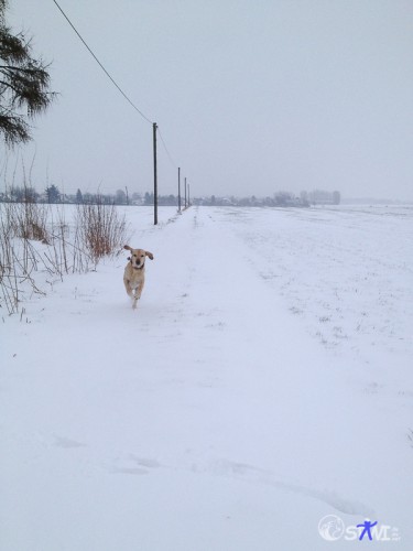 Ach so, eine Runde auf dem Feld!