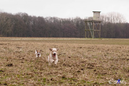 Stöpsel und Sina