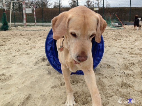 Komm! Rück das Leckerlis raus!