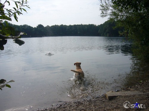 Ding fliegt ins Wasser.