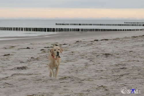 Morgenrunde am lauten Wasser.