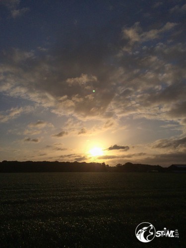 Zu Hause am frühen Morgen.