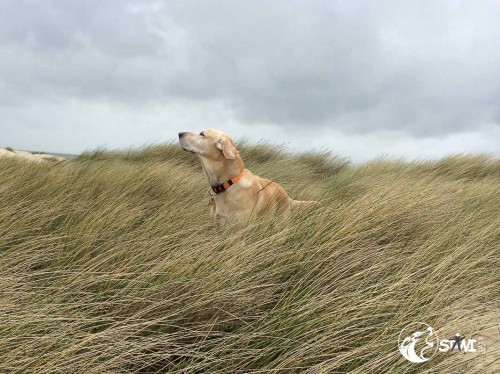 Regen und Wind.